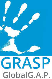 GLOBALGRASP Global GRASP