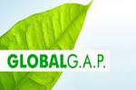 globalgap Global GAP