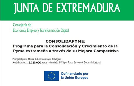 Consolida Pyme